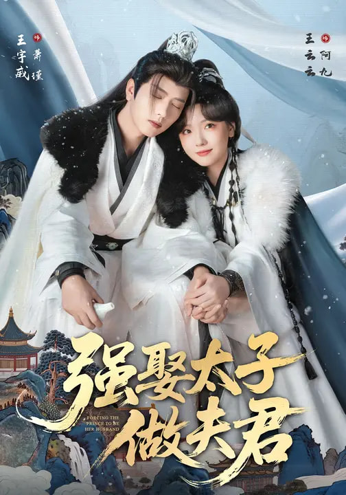 强娶太子做夫君